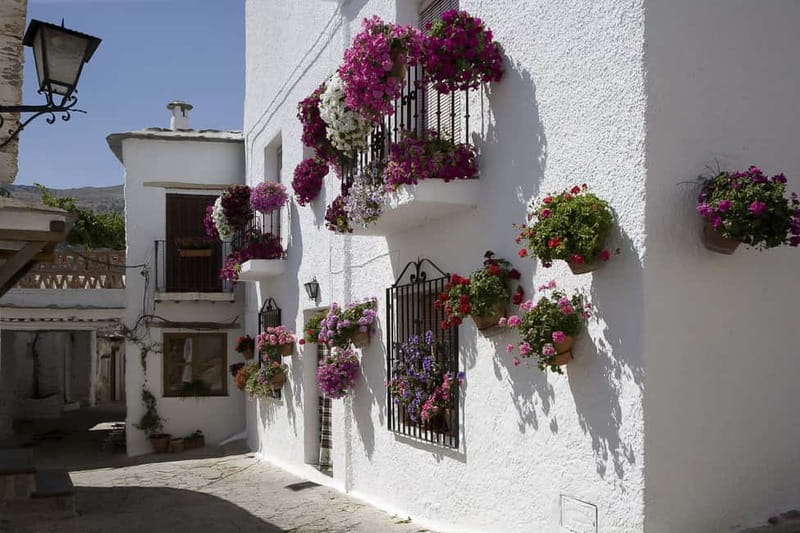 From Granada: Alpujarra Mountain Villages Tour - Why La Alpujarra feels like a different world from Granada