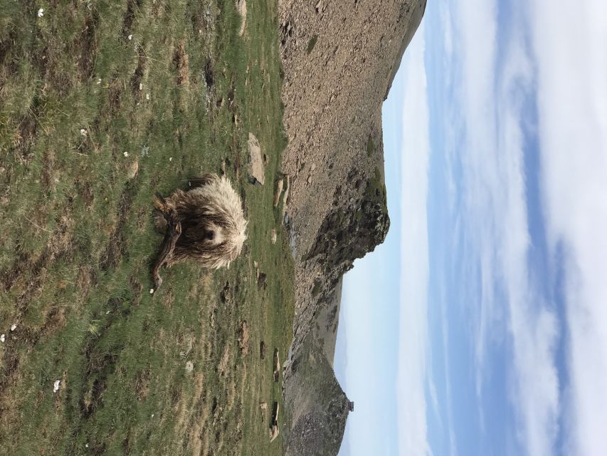 From Granada: High Sierra Nevada hiking experience - Jaime and Kai: why the guide style changes the day