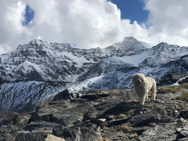 From Granada: High Sierra Nevada hiking experience - Price and value: what $69 buys you in the Sierra Nevada