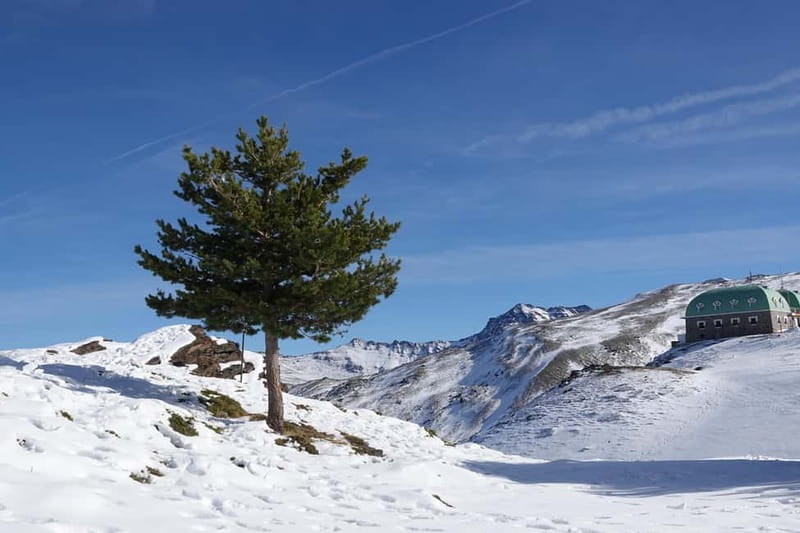 From Granada: Sierra Nevada Safari up to 2500 meters high - North face viewpoints: where the peaks feel bigger than the map