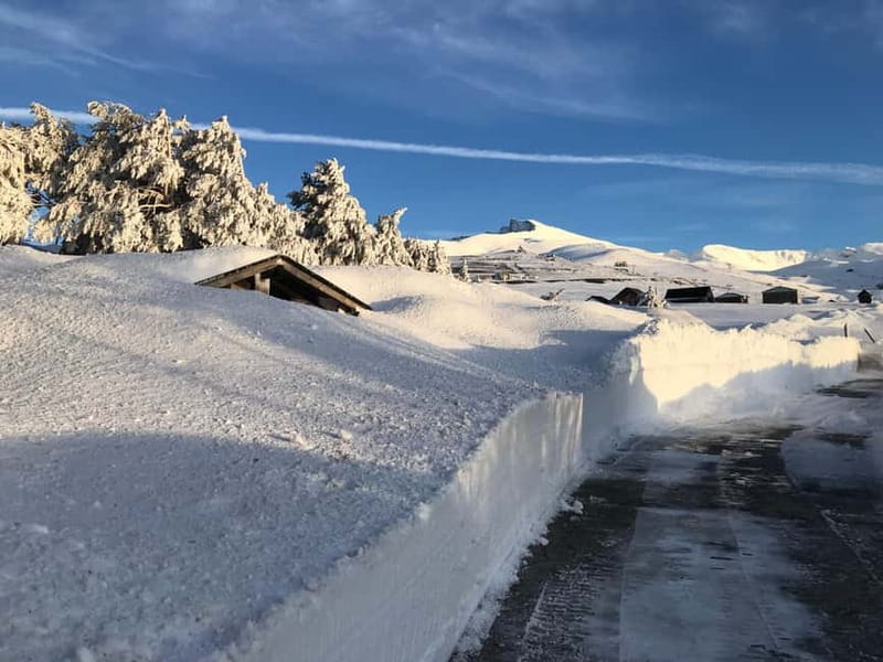 From Granada: Sierra Nevada Safari up to 2500 meters high - 2500m mountain hut: your drink stop and your reset