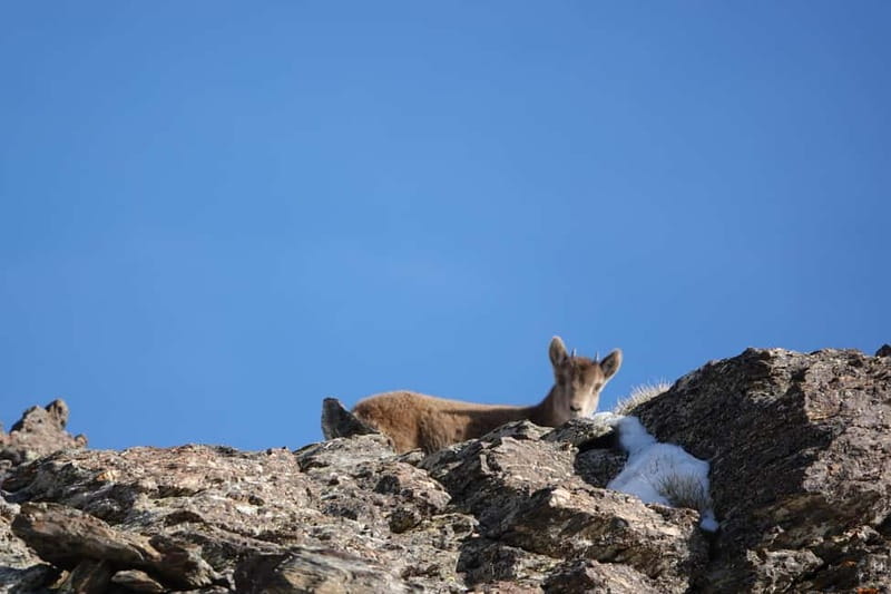 From Granada: Sierra Nevada Safari up to 2500 meters high - Cahorros de Monachil: a canyon you can feel