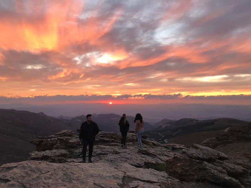 From Granada: Sierra Nevada Safari up to 2500 meters high - Wildlife spotting: the real bonus when you pause