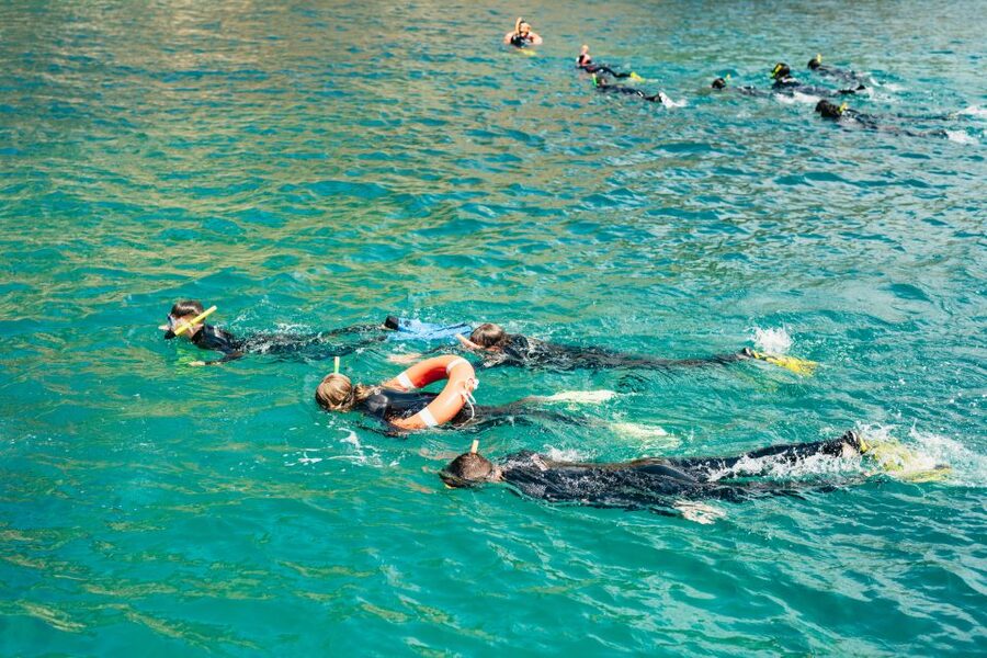 From L’Estartit: Snorkeling Trip to the Medes Islands - Key things to know before you go