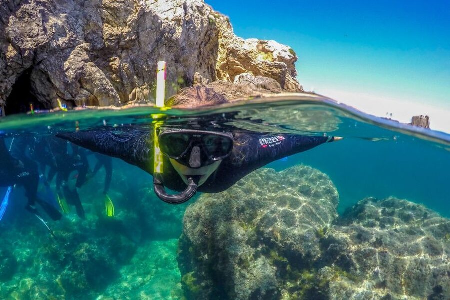 From L’Estartit: Snorkeling Trip to the Medes Islands - Guide quality is the real difference, and I would bet on it
