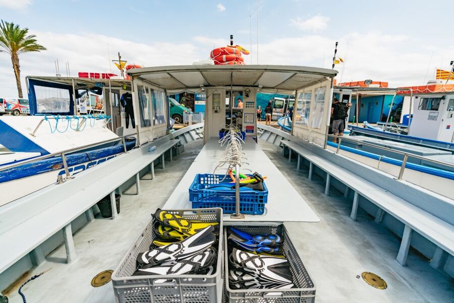 From L’Estartit: Snorkeling Trip to the Medes Islands - The 50-minute snorkeling session at the Medes Islands reserve