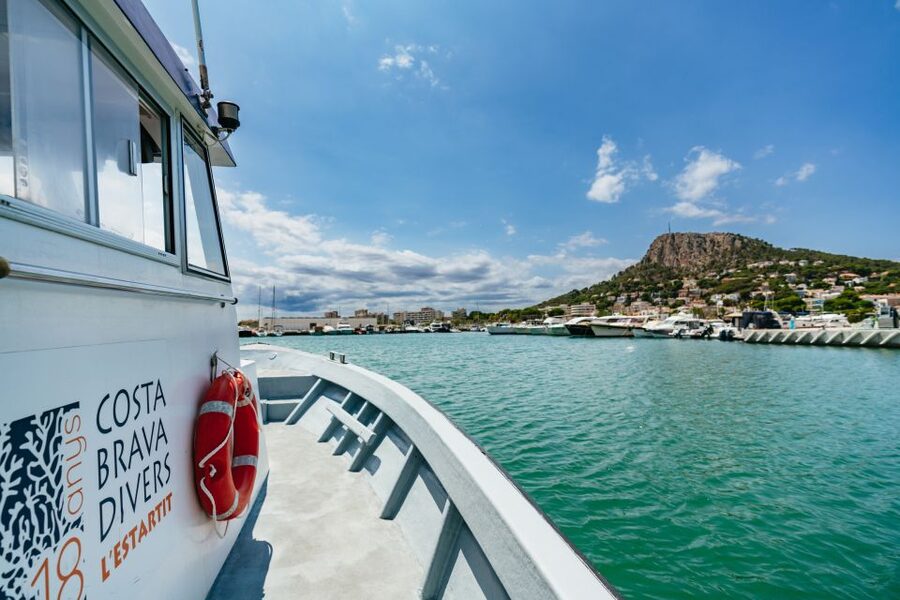 From L’Estartit: Snorkeling Trip to the Medes Islands - Price and value: where that roughly $45 per person goes