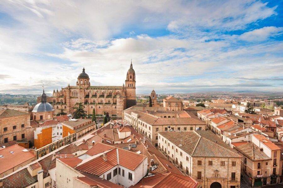 From Madrid: Ávila and Salamanca Guided Day Trip - Food, sweets stops, and what to expect on a self-paid basis
