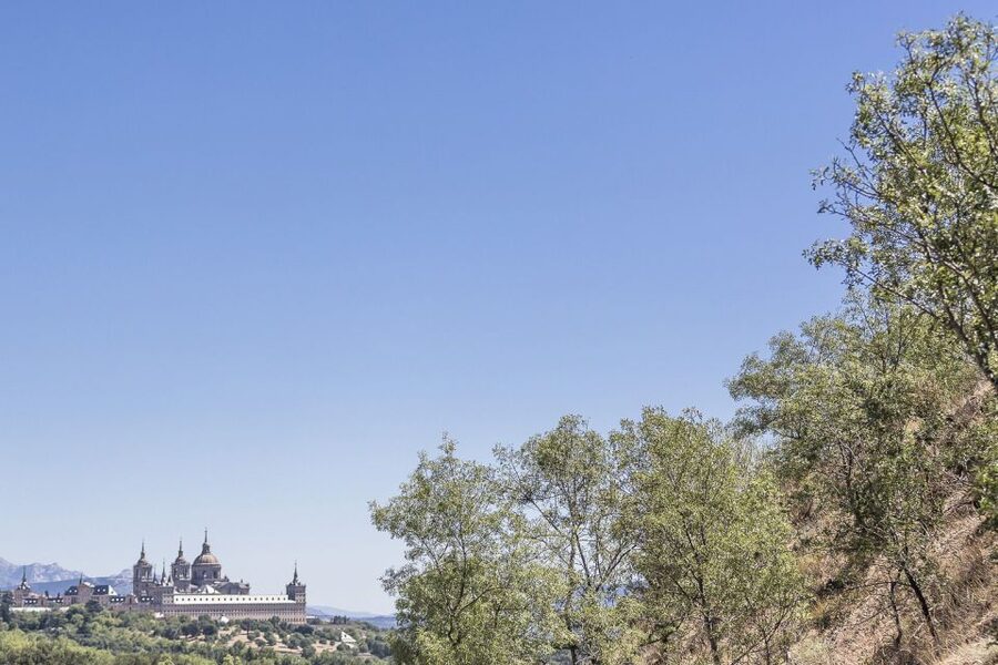 From Madrid: Escorial Monastery & Valley of the Fallen Trip - Who should book this and who might want a different plan