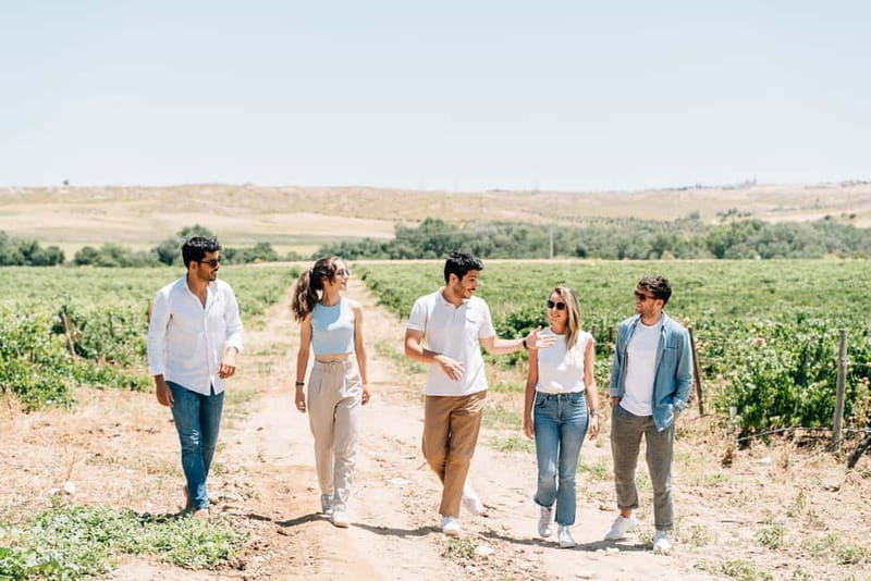 From Madrid: Toledo Guided Tour & Winery Visit with Tasting - Vineyards, grapes, and landscape you can actually understand