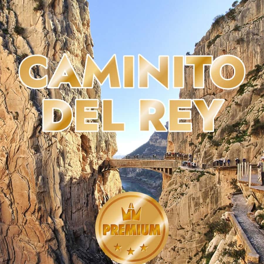 From Malaga: Caminito del Rey all included - Key things I’d plan around