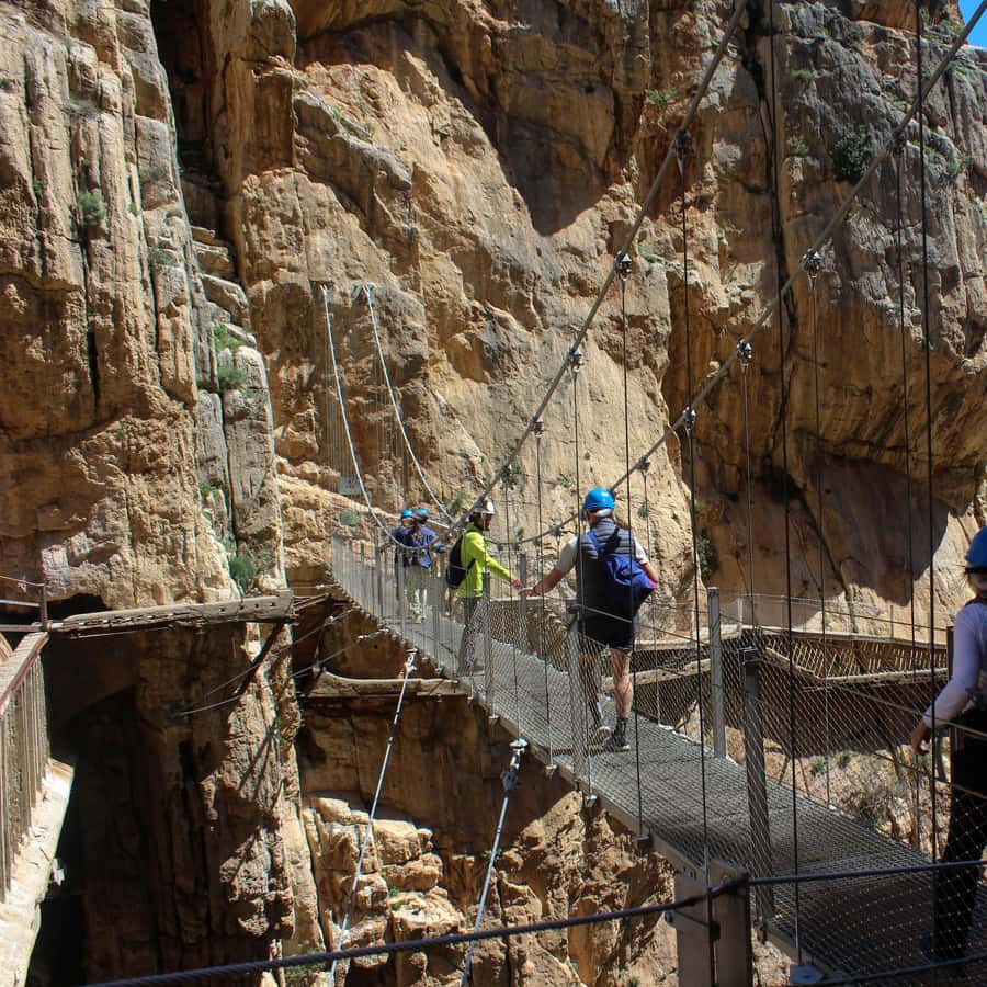From Malaga: Caminito del Rey all included - Who this tour fits best