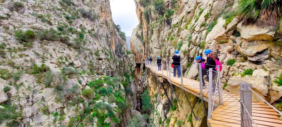 From Málaga: Caminito del Rey Guided Day Trip - Key highlights you should care about