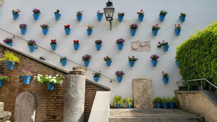 From Malaga: Cordoba Day Trip and Mosque-Cathedral - Mosque-Cathedral orientation: Maqsura, Mihrab, and the Chapel