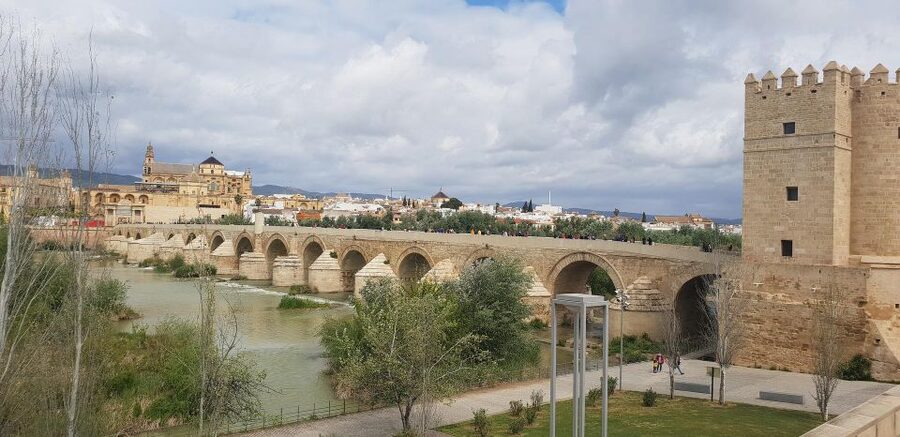 From Malaga: Cordoba Day Trip and Mosque-Cathedral - Price and value: why $93 can be fair here