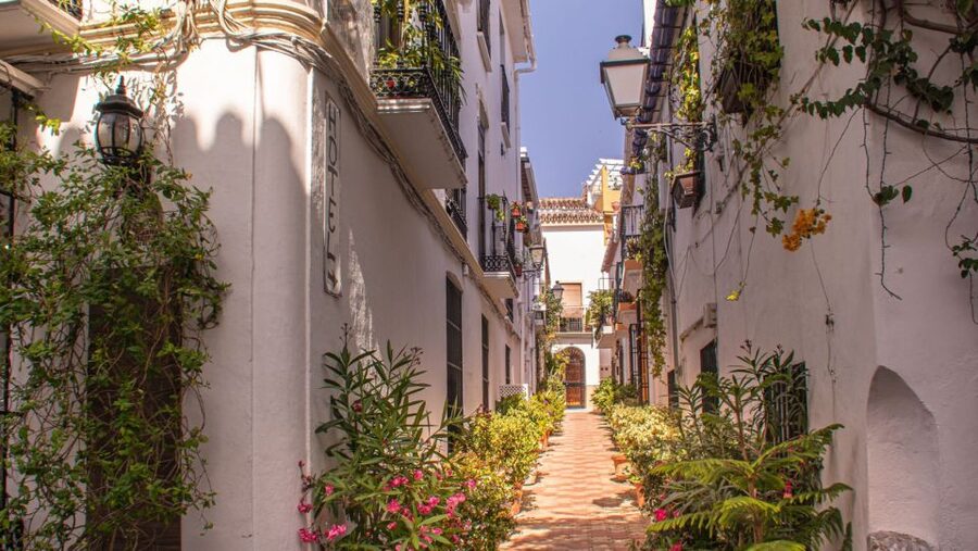 From Malaga or Costa del Sol: Mijas, Marbella & Puerto Banus - Marbella Old Town and Plaza de Los Naranjos, Without the Rush