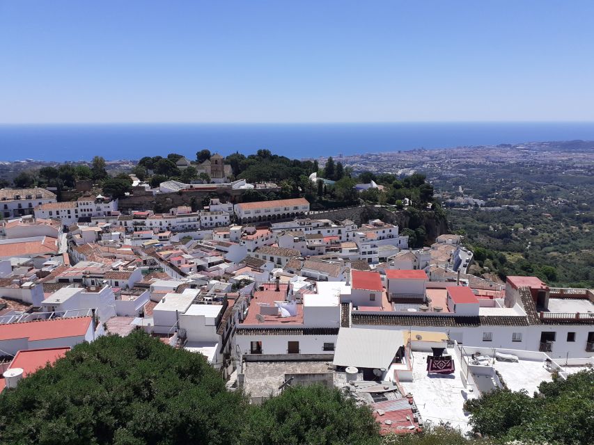 From Malaga or Costa del Sol: Mijas, Marbella & Puerto Banus - Should You Book This Mijas, Marbella, and Puerto Banús Day Trip?