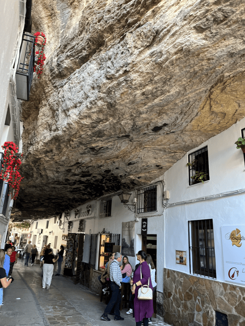 From Malaga: Ronda and Setenil de las Bodegas Day Trip - Who this day trip suits best (and who should skip it)