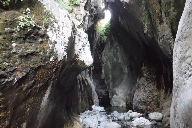 From Marbella: Canyoning Tour in Guadalmina Canyon - Timing, meeting point, and how to plan the rest of your day