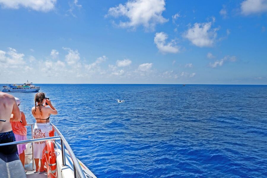 From Paguera: Dolphin Watching Cruise in a Glass-Bottom Boat - Getting from Paguera area to Playa Tora: the start that matters