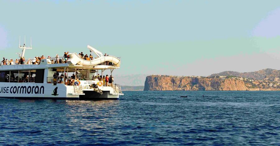 From Paguera: Dolphin Watching Cruise in a Glass-Bottom Boat - The 1.5-hour vs 2-hour vs 2.5-hour choices: swim stop vs pure dolphin time