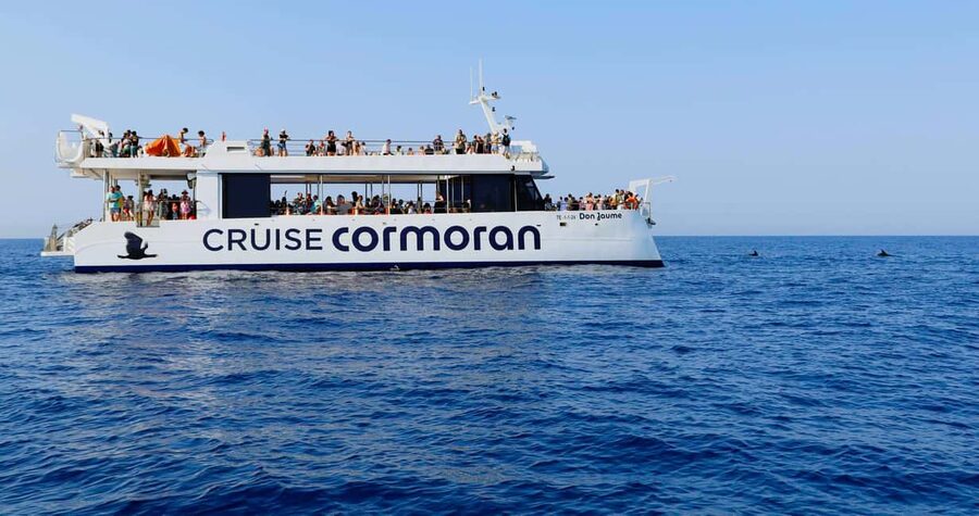 From Paguera: Dolphin Watching Cruise in a Glass-Bottom Boat - Onboard vibe, toilets, and the bar menu people talk about