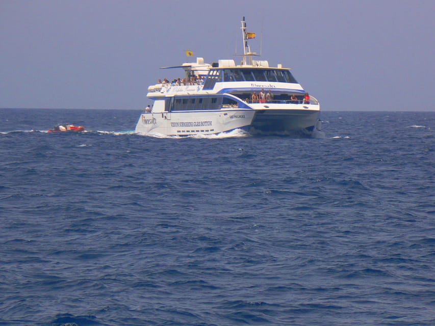 From Puerto Rico: Boat trip along the coast w/ Food & Drinks - Glass-bottom viewing and underwater time: your sea-life cheat code