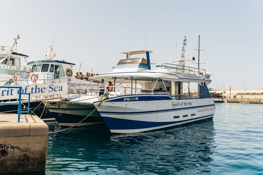 From Puerto Rico de Gran Canaria: Dolphin Watching Cruise - Spirit of the Sea: what the boat experience gets right