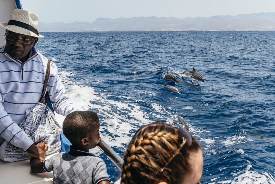 From Puerto Rico de Gran Canaria: Dolphin Watching Cruise - Species spotting: why the guide focus changes everything