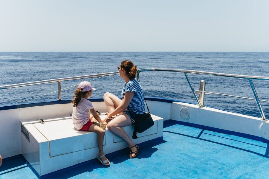From Puerto Rico de Gran Canaria: Dolphin Watching Cruise - Glass-bottom viewing: practical tips to get your money’s worth