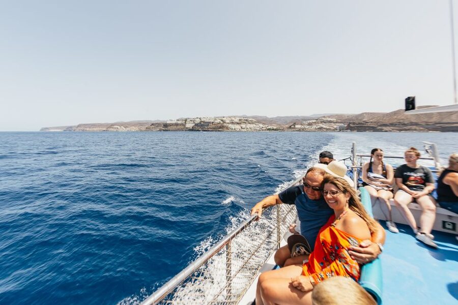 From Puerto Rico de Gran Canaria: Dolphin Watching Cruise - Wildlife ethics you can feel in the way the boat behaves