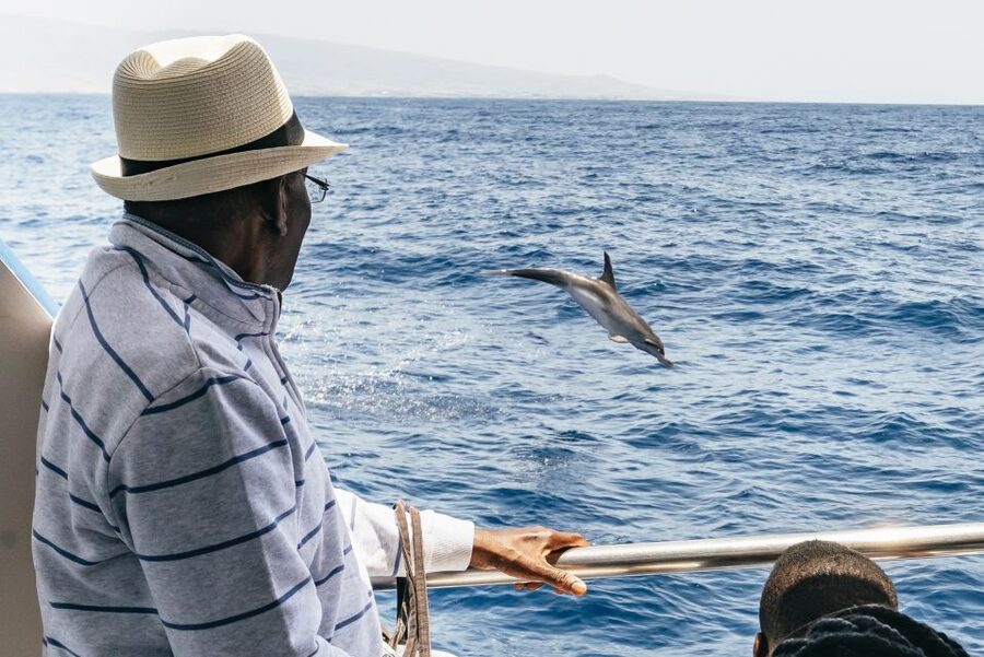 From Puerto Rico de Gran Canaria: Dolphin Watching Cruise - Seasickness reality check: plan for Atlantic movement