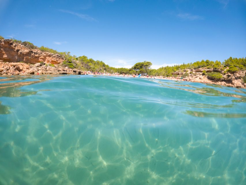From Salou/Cambrils: Speedboat Tour - Key points you should care about