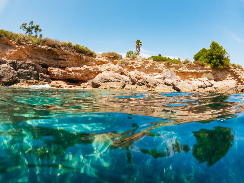 From Salou/Cambrils: Speedboat Tour - Who should book this speedboat tour, and who might skip it
