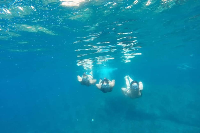 From Sant Feliu de Guíxols: Kayak and Snorkel in Costa Brava - Snorkeling in the bay: gear, timing, and what you can realistically spot