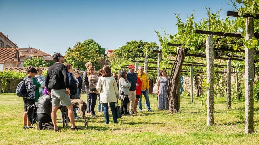 From Santiago: Tour to Rias Baixas with Boat Trip and Winery - How a 9.5-hour Santiago trip hits Rías Baixas without dragging