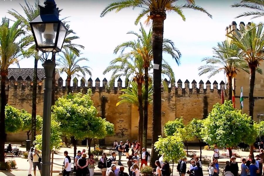 From Seville: Córdoba and Mosque Cathedral Full-Day Tour - The Return to Seville: Drop-Off Points and End-of-Day Tips