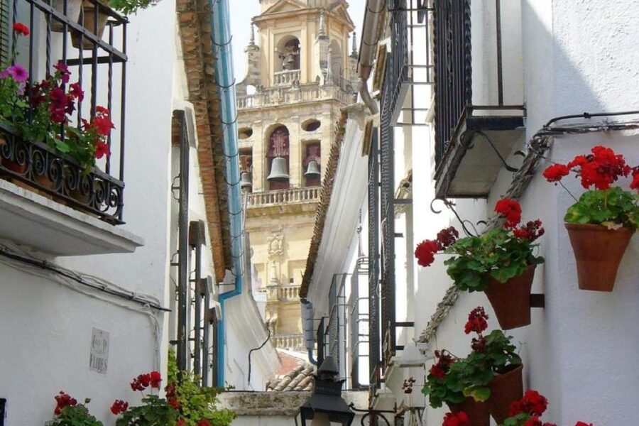 From Seville: Córdoba and Mosque Cathedral Full-Day Tour - Price and Value: What $117 Covers and What It Does Not