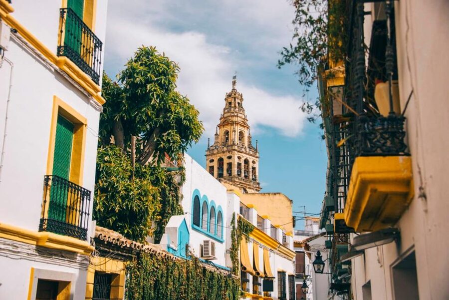 From Seville: Cordoba and Mosque Cathedral Guided Tour - The coach ride home and your one-hour free window in Córdoba