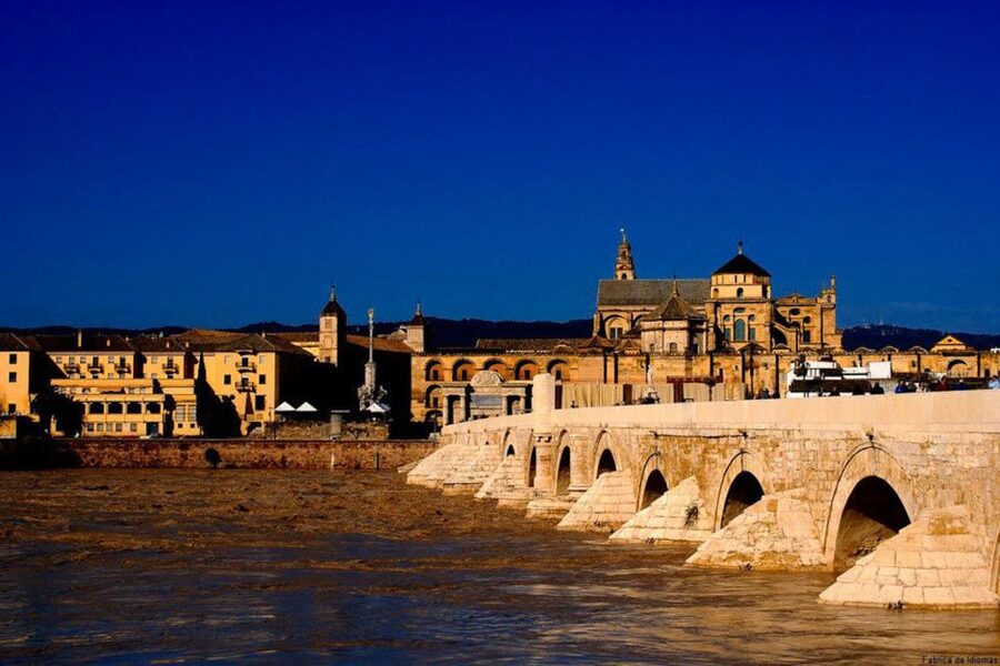 From Seville: Cordoba and Mosque Cathedral Guided Tour - Who should book this Seville to Córdoba tour?