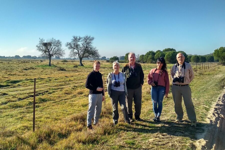 From Seville: Doñana National Park Day Trip - The rice fields and storks, a detail that explains Doñana