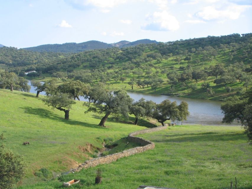 From Seville: Full-Day Aracena & Rio Tinto Mines Tour - Price and logistics that actually matter for a day like this