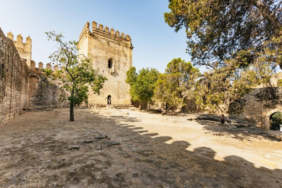 From Seville: Pueblos Blancos and Ronda Full-Day Trip - So, should you book this Ronda and Pueblos Blancos day trip?