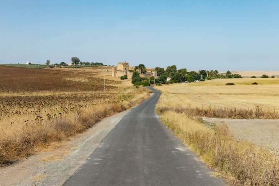 From Seville: Pueblos Blancos and Ronda Full-Day Trip - The big moment: Ronda, the New Bridge, and how to use 2.5 hours