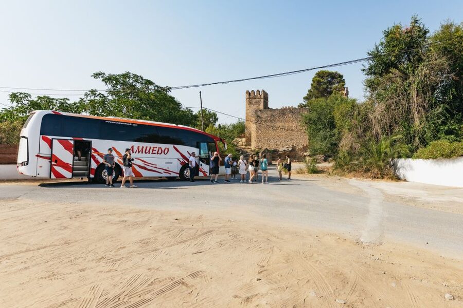 From Seville: Pueblos Blancos and Ronda Full-Day Trip - The shared coach reality: pacing, comfort, and what to pack