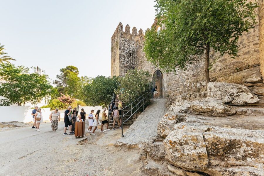 From Seville: Pueblos Blancos and Ronda Full-Day Trip - The guides: dry humor, quick answers, and named standout talent