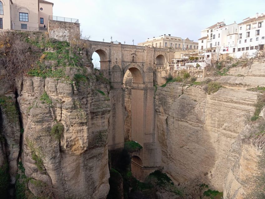 From Seville: Ronda+Setenil de las Bodegas Day Trip - Who this tour suits best