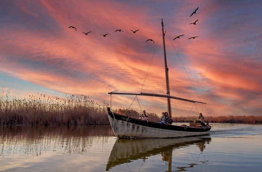 From Valencia: Albufera Natural Park Eco Boat Tour & Sunset - A fast way out of Valencia, with pickups built in
