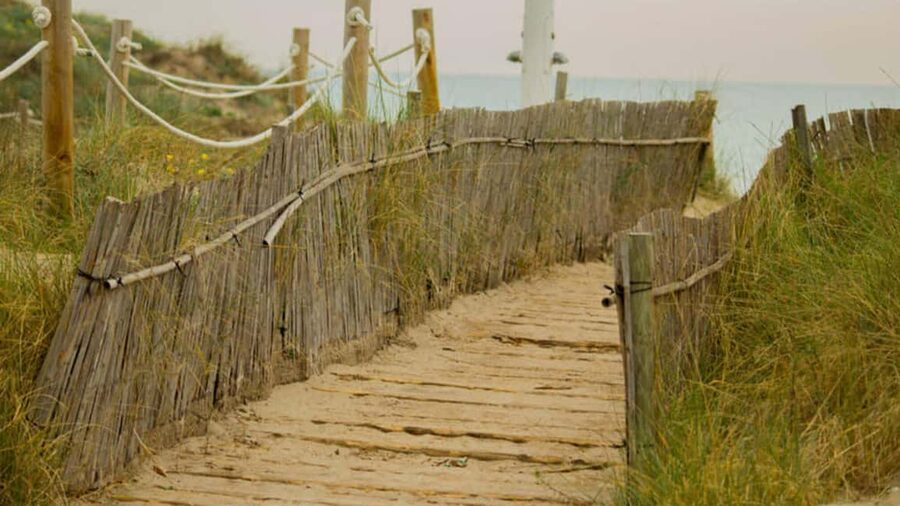 From Valencia: Albufera Natural Park Eco Boat Tour & Sunset - La Devesa del Saler beach and pine forest break