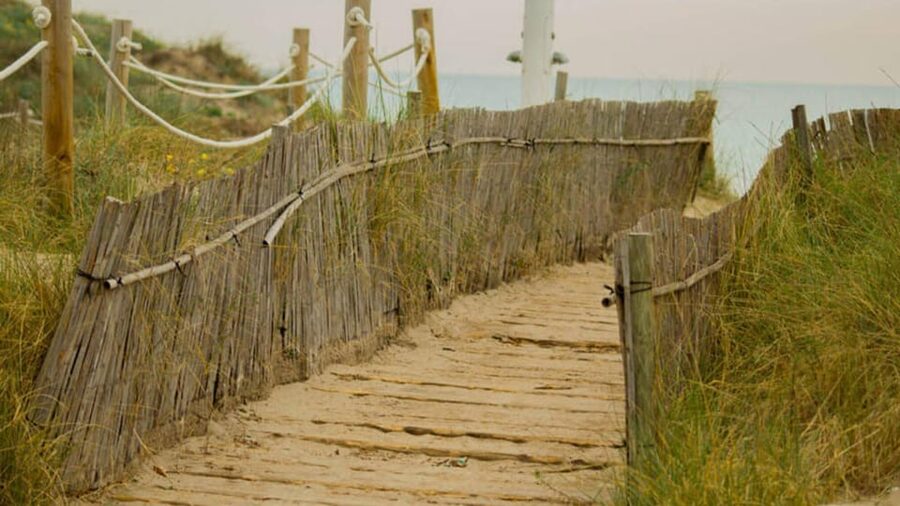 From Valencia: Albufera Natural Park Eco Boat Tour & Sunset - The quiet, 100% electric boat cruise across the lagoon